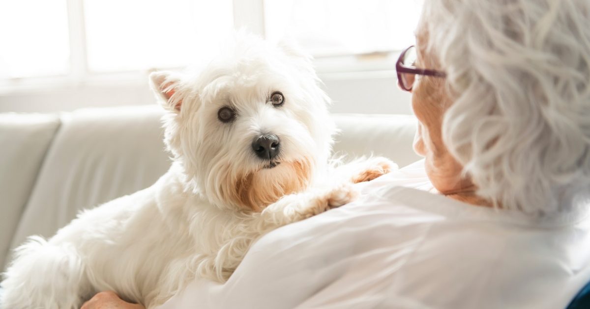 Research reveals impact of animals on health and wellbeing of care home